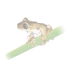 test8