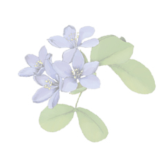 test8