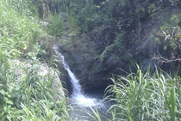 Settlement Hiking Trail