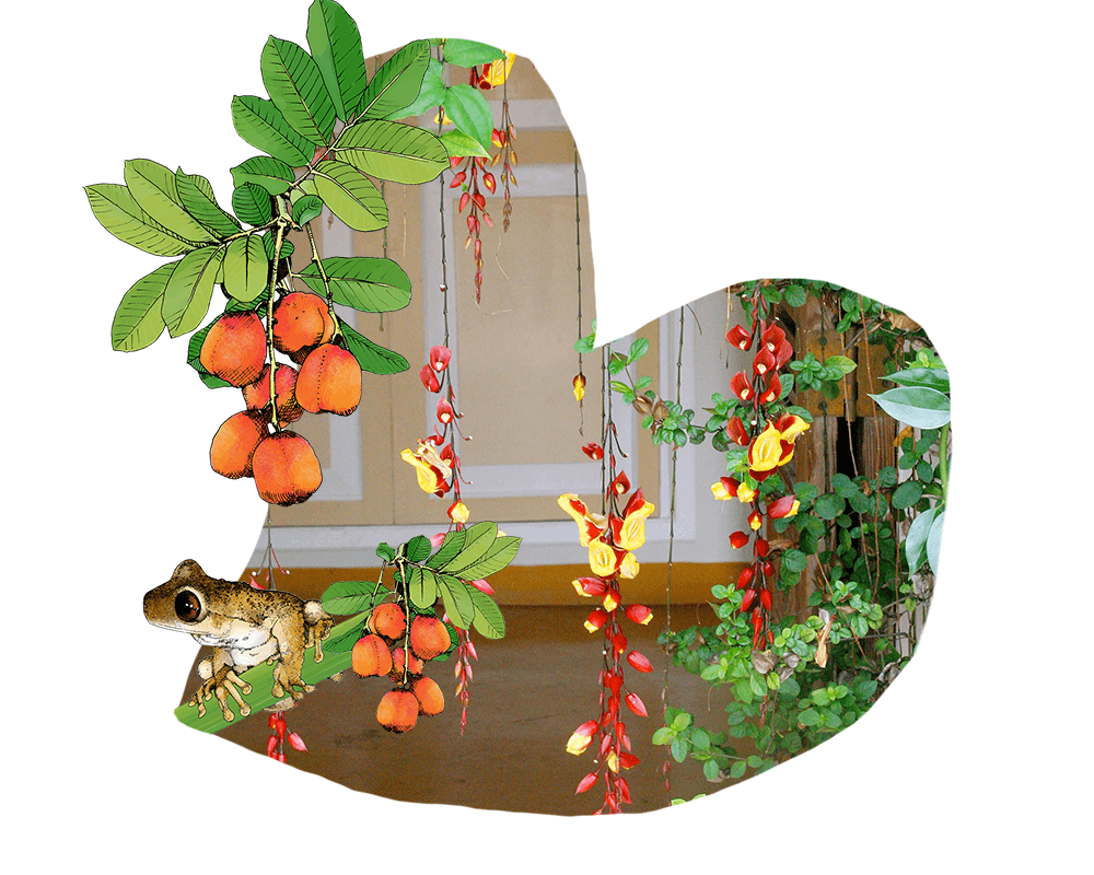 Nature’s Heart